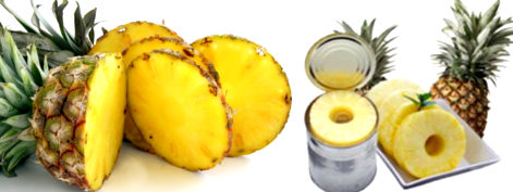 Canned Pineapples - Grace Tradelinks