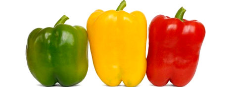 Fresh Green Peppers - Grace Tradelinks